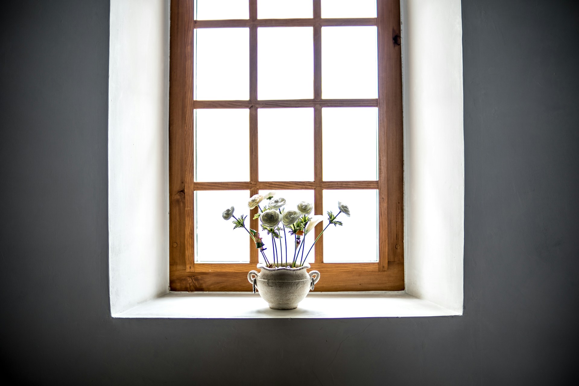 best windows for calgary climate