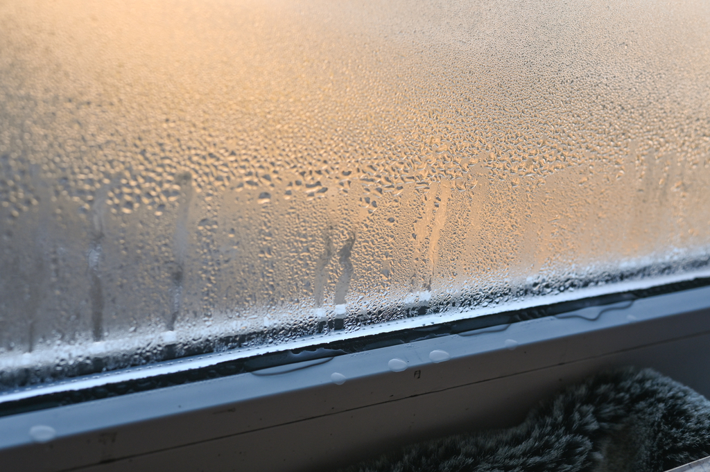 Understanding Why Windows Condensate and How to Prevent It